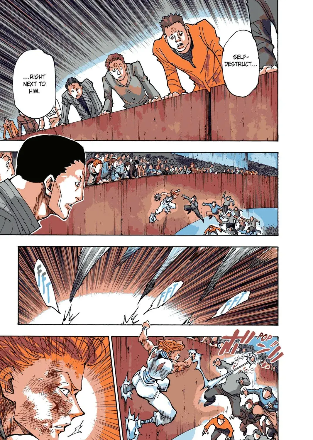 Hunter x Hunter Colored Manga, chapter 356, page 17
