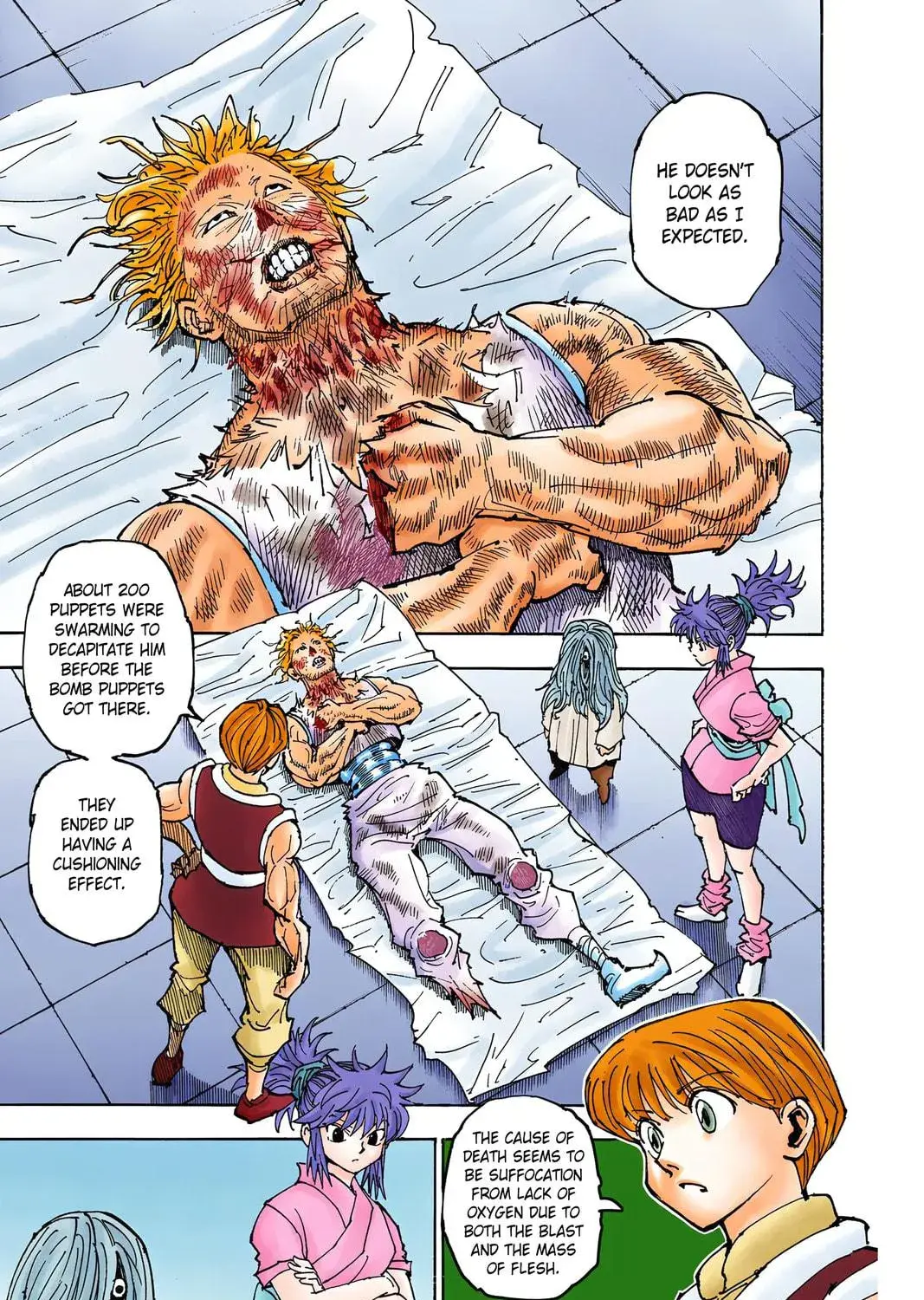 Hunter x Hunter Colored Manga, chapter 357, page 5