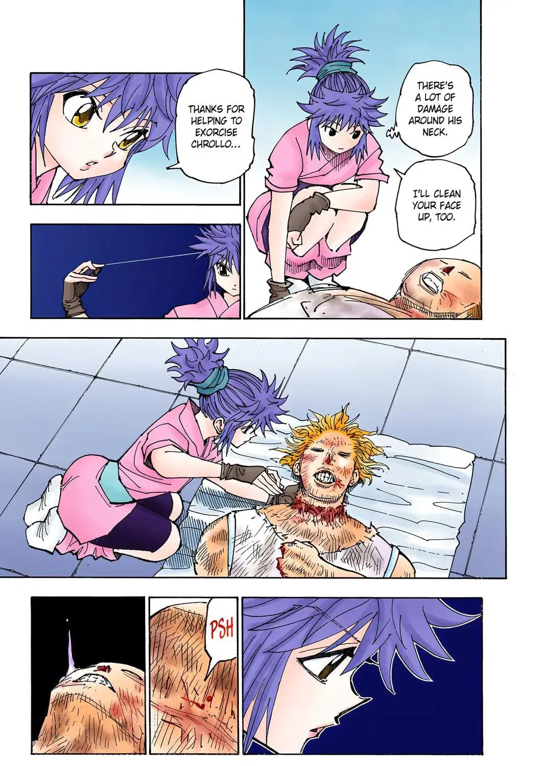 Hunter x Hunter Colored Manga, chapter 357, page 9
