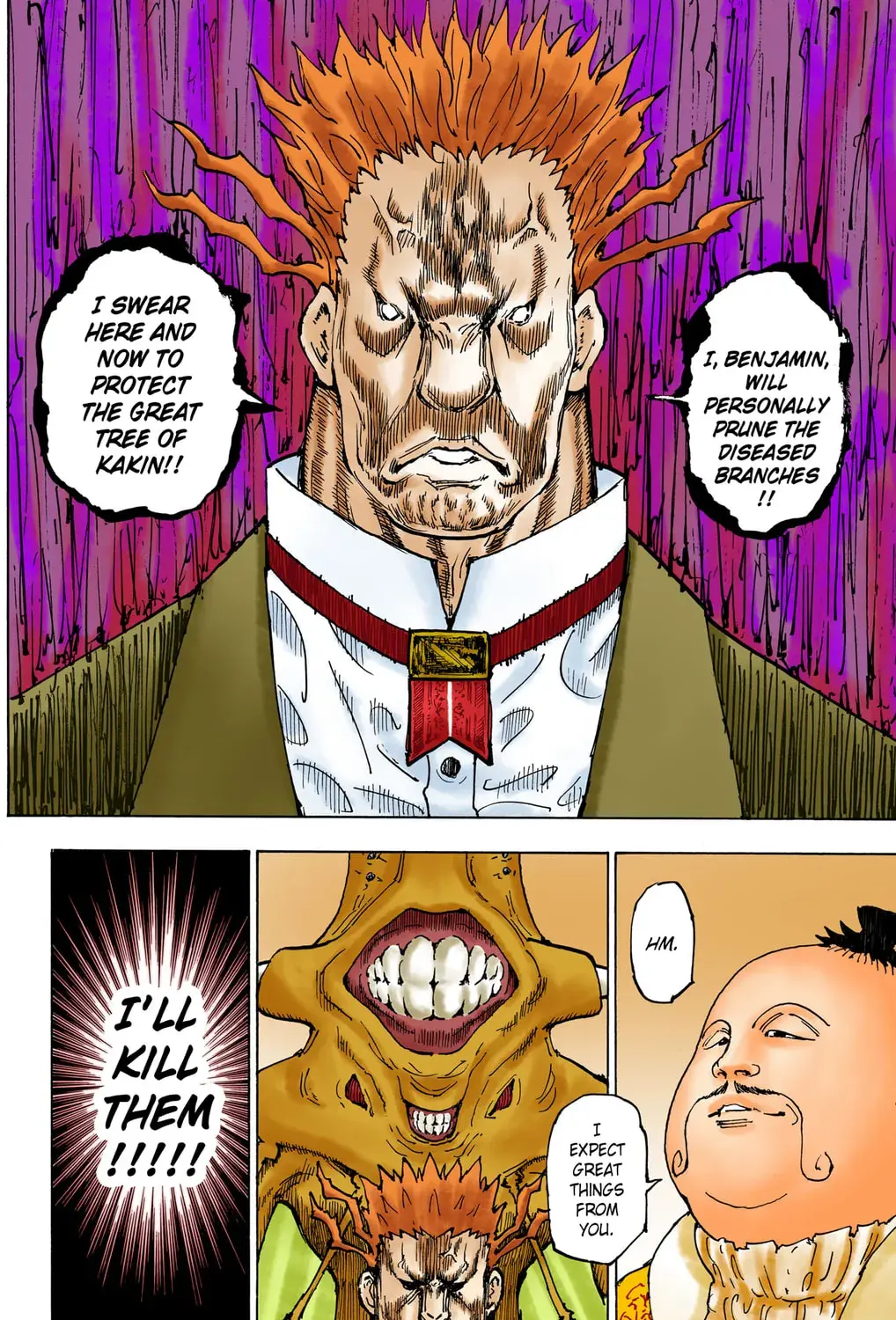 Hunter x Hunter Colored Manga, chapter 363, page 13