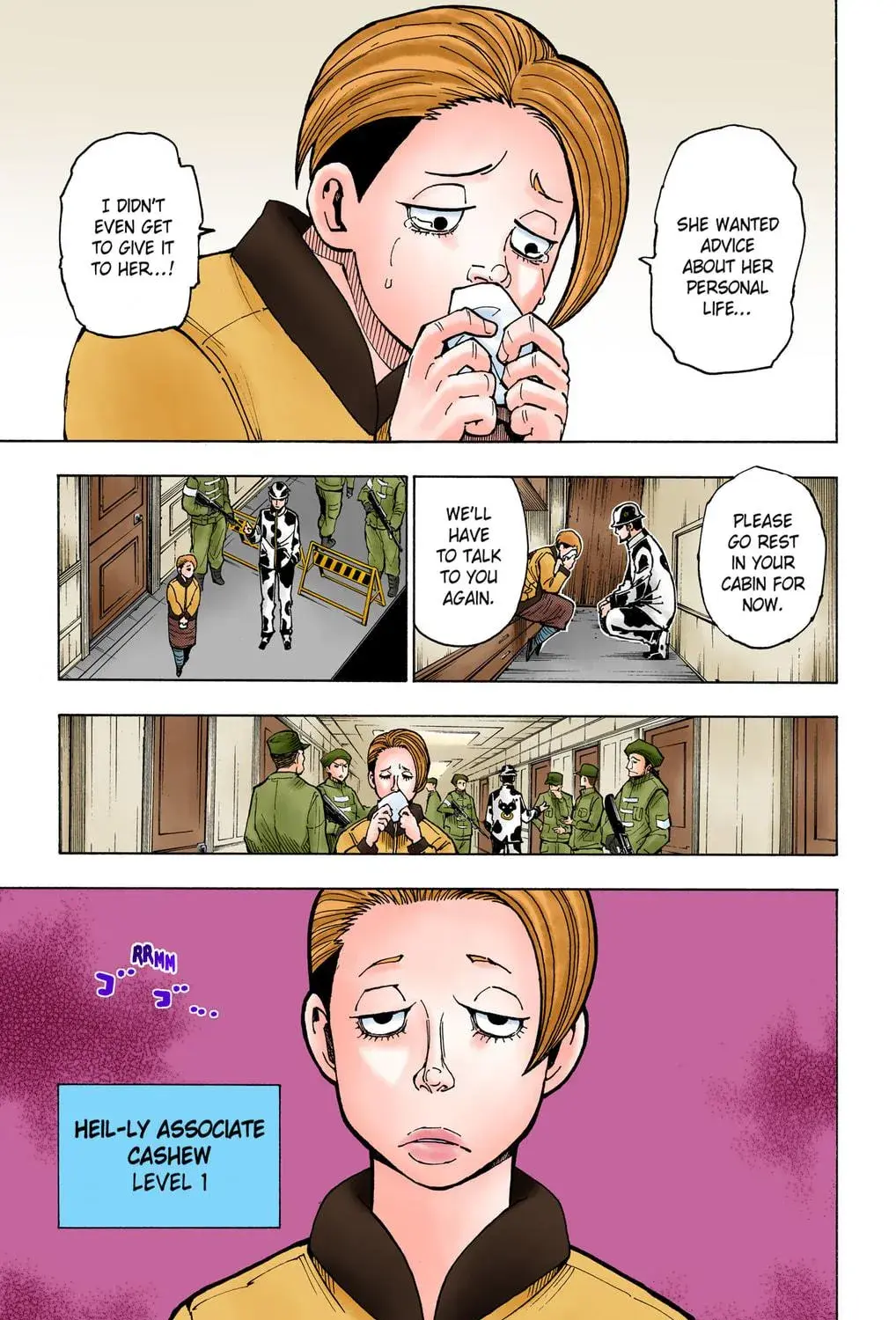 Hunter x Hunter Colored Manga, chapter 379, page 9