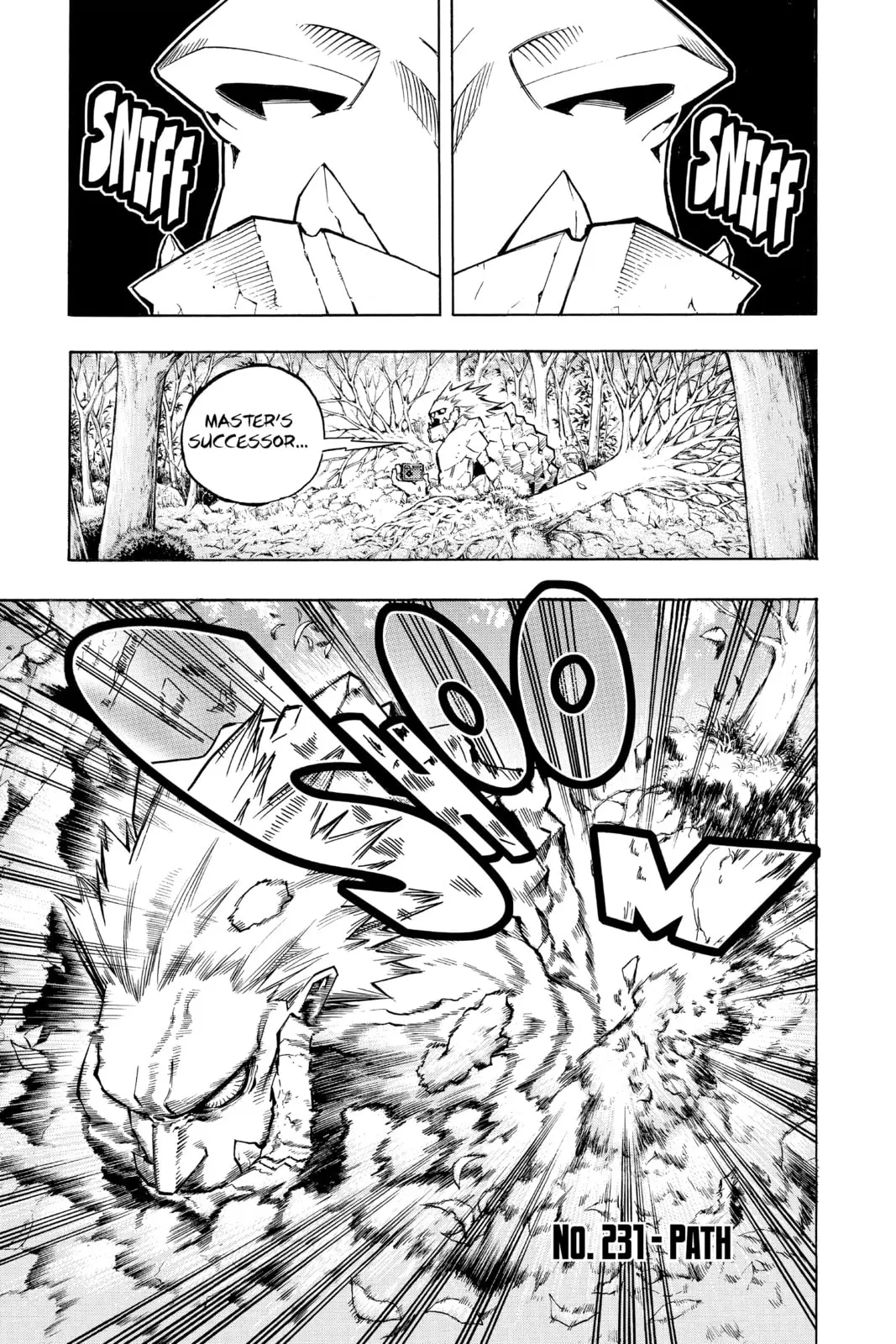 My Hero Academia, chapter 230, page 15