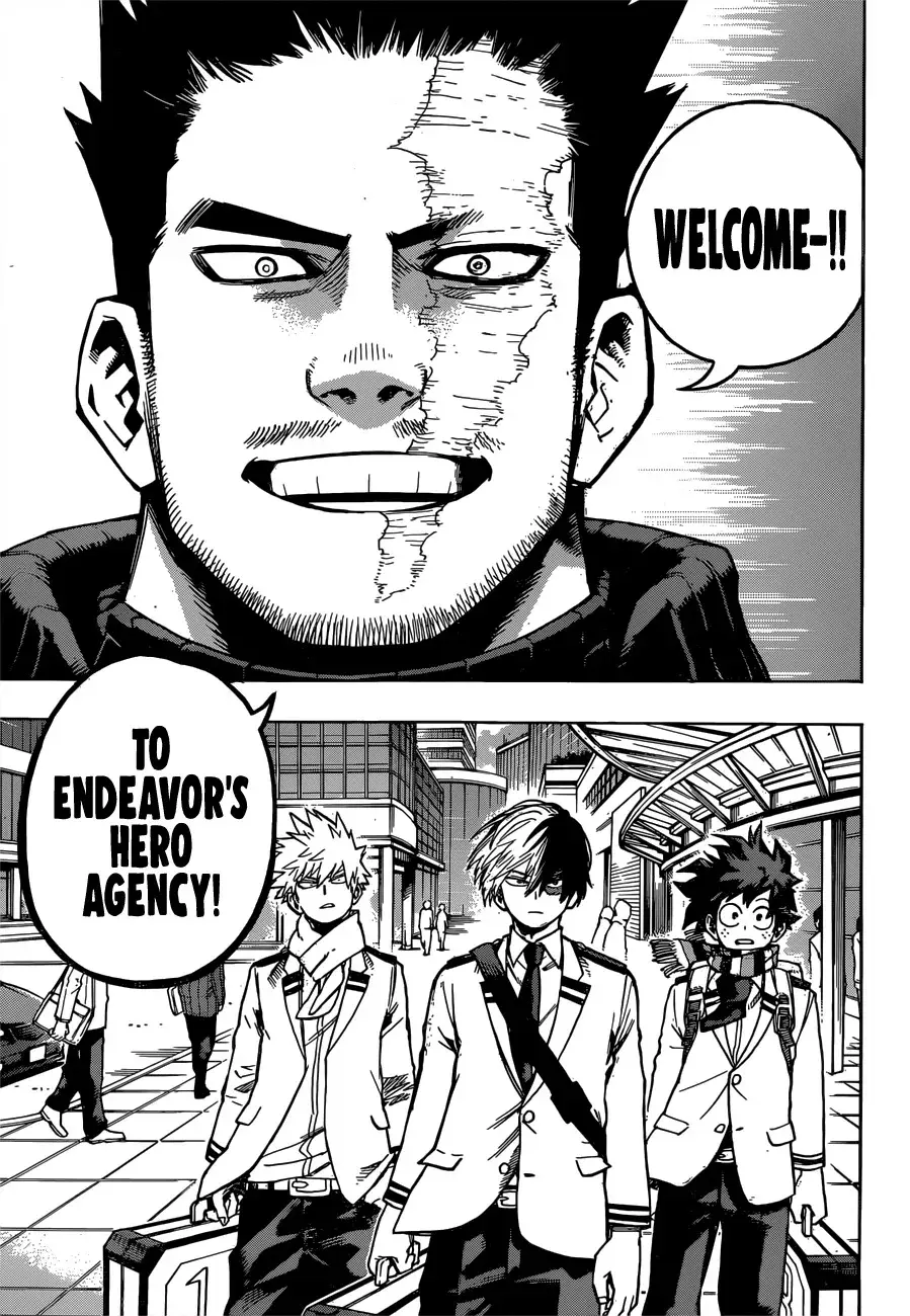 My Hero Academia, chapter 243, page 10