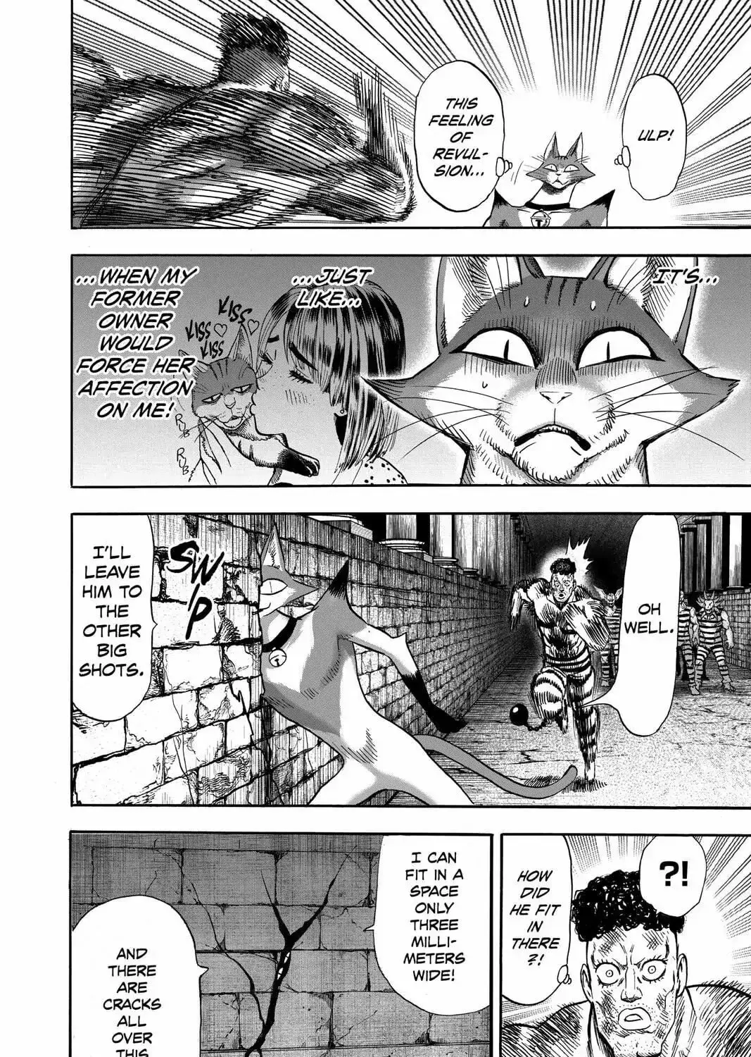 One Punch Man, chapter 110, page 67