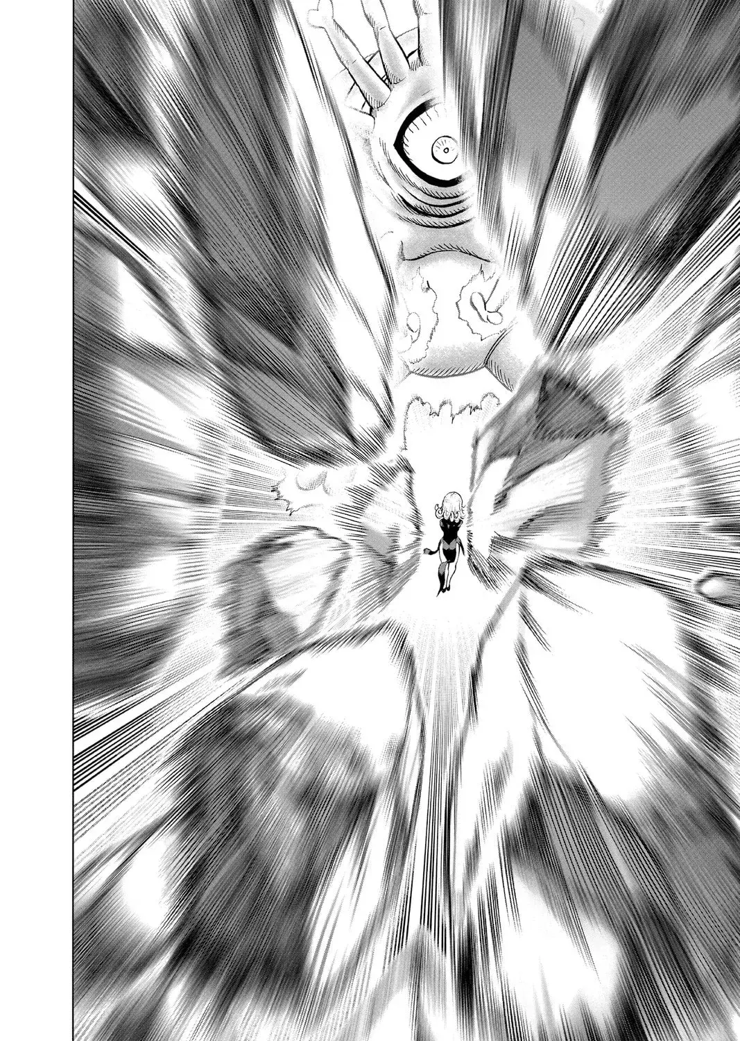 One Punch Man, chapter 113, page 101