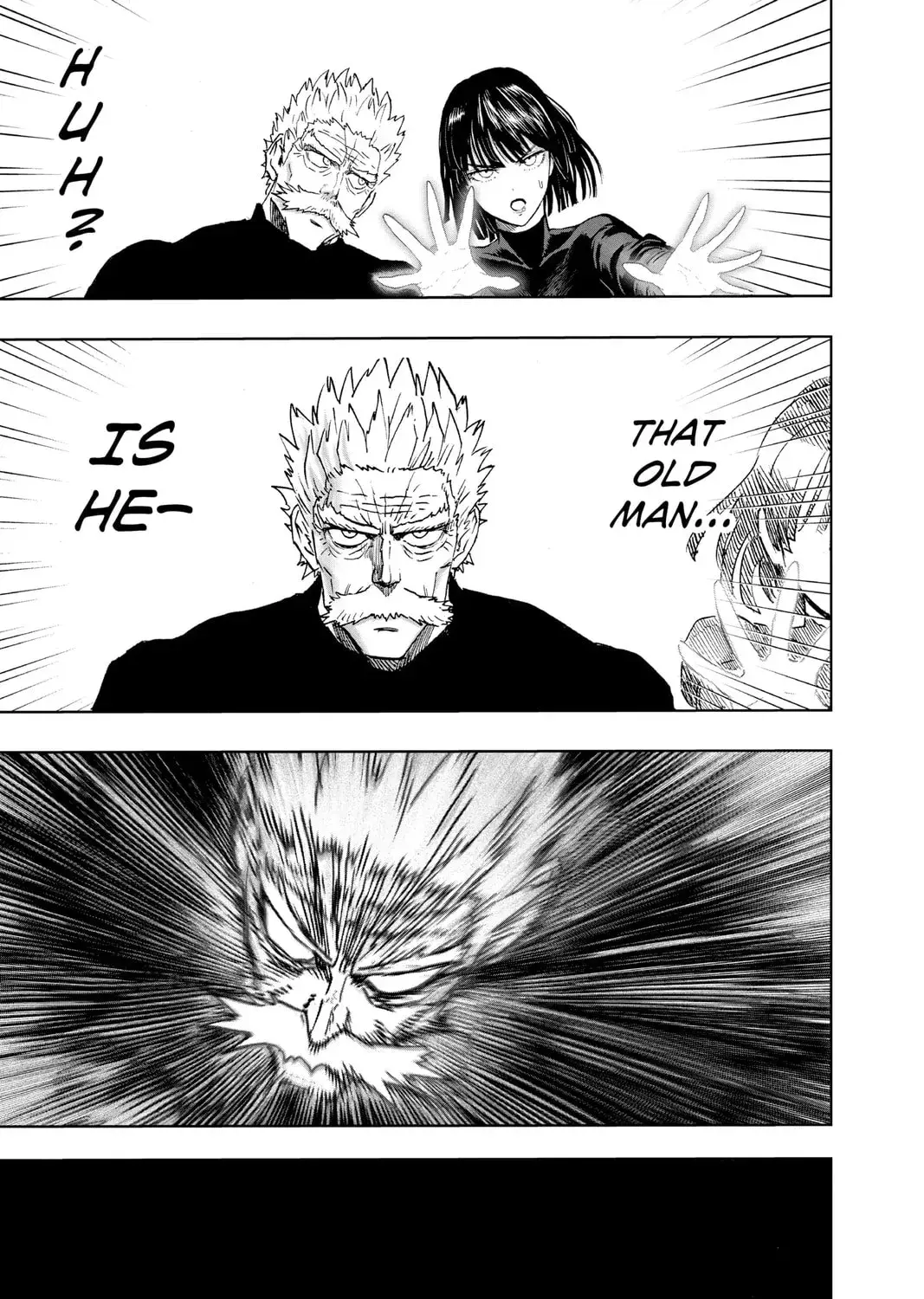One Punch Man, chapter 117, page 13