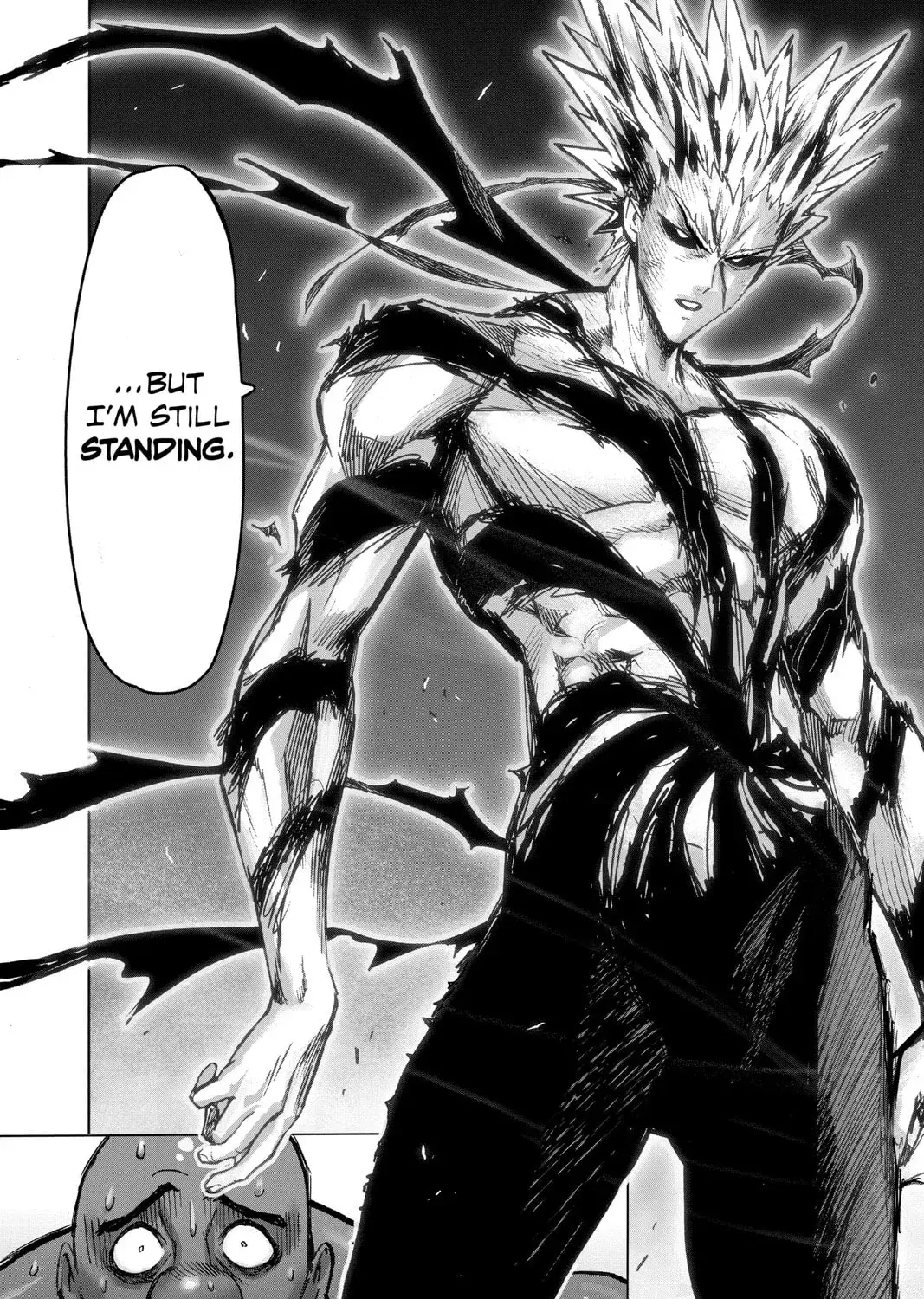 One Punch Man, chapter 133, page 13