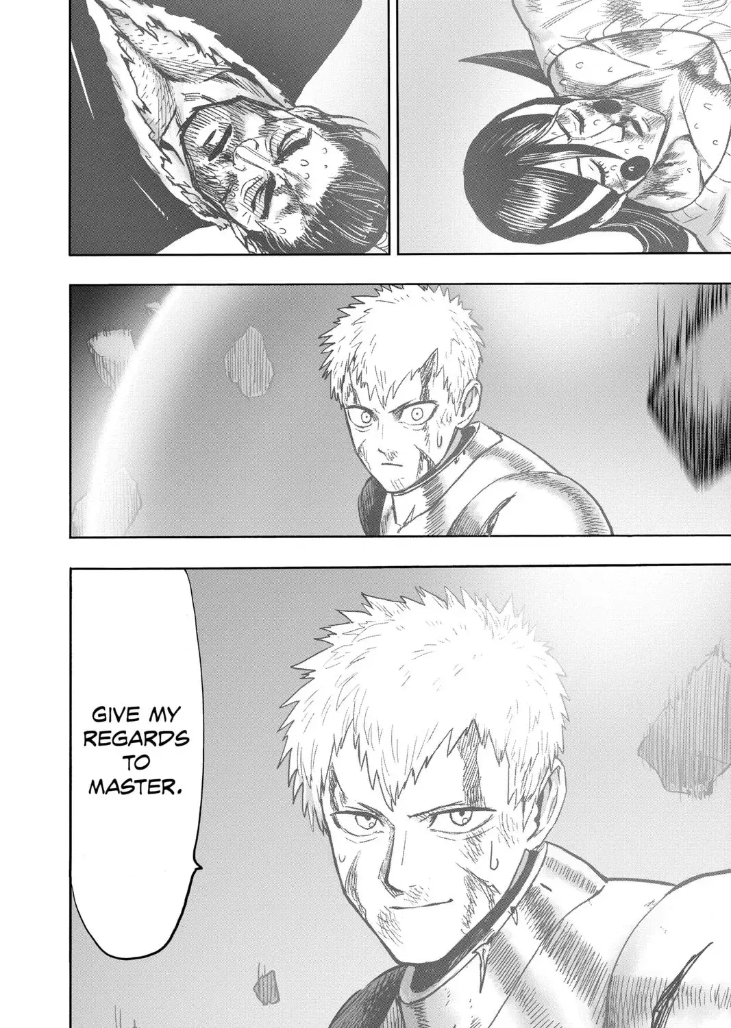 One Punch Man, chapter 134, page 11