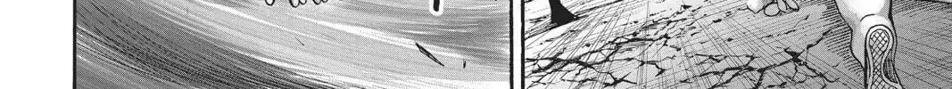 One Punch Man, chapter 96, page 222