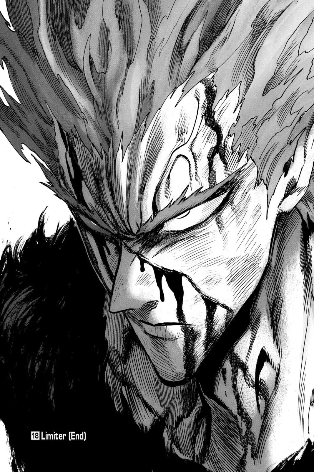 One Punch Man, chapter 90, page 35