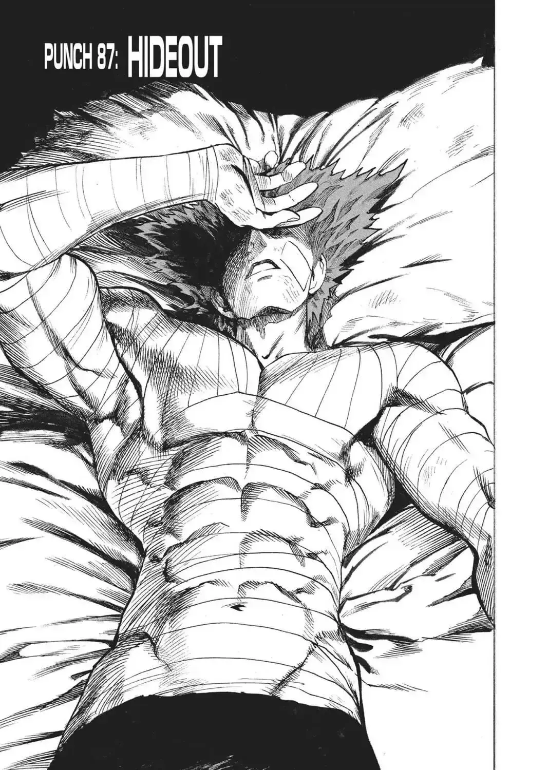 One Punch Man, chapter 87, page 1