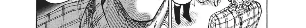 One Punch Man, chapter 85, page 233