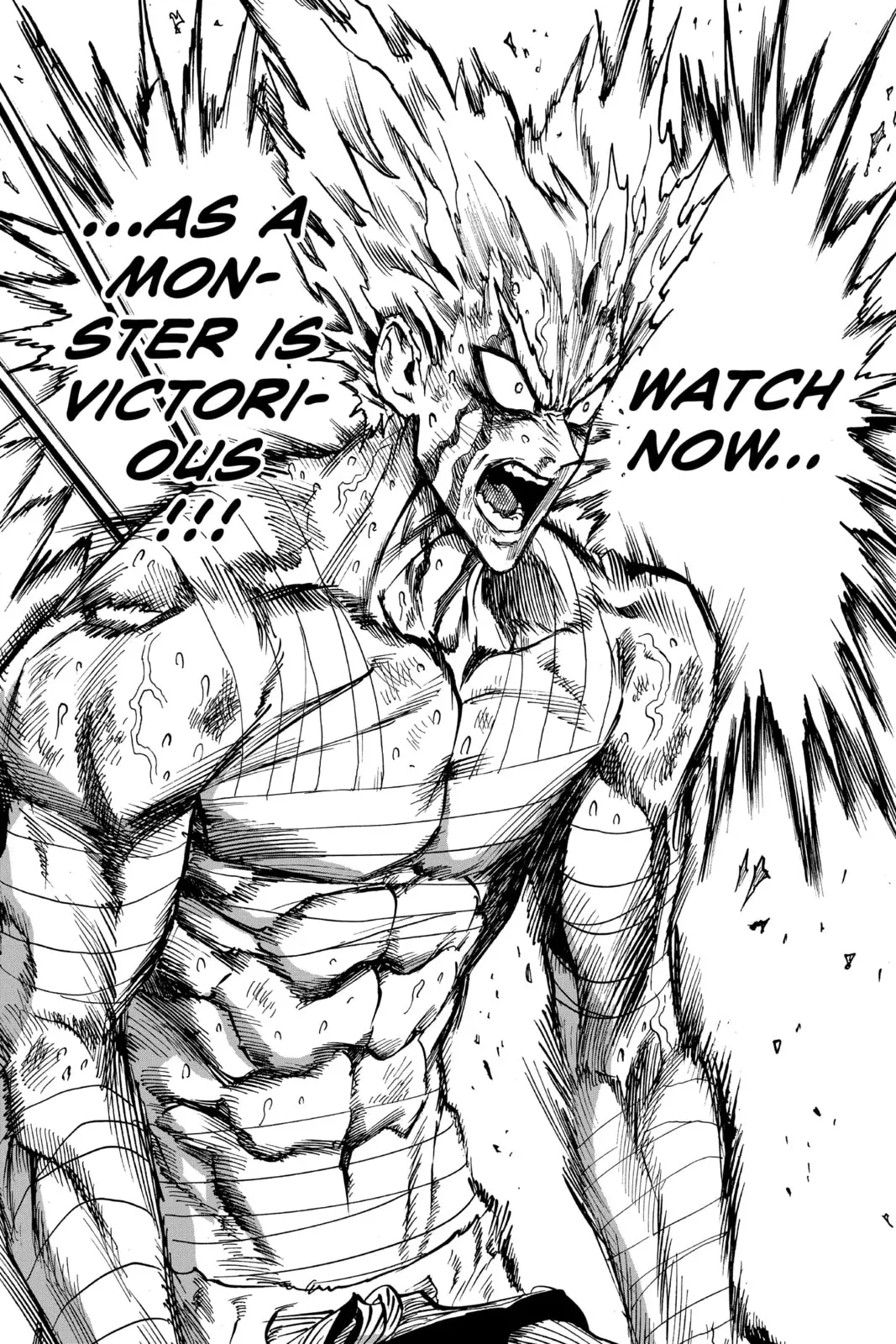 One Punch Man, chapter 82, page 34