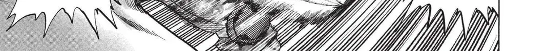 One Punch Man, chapter 78, page 66