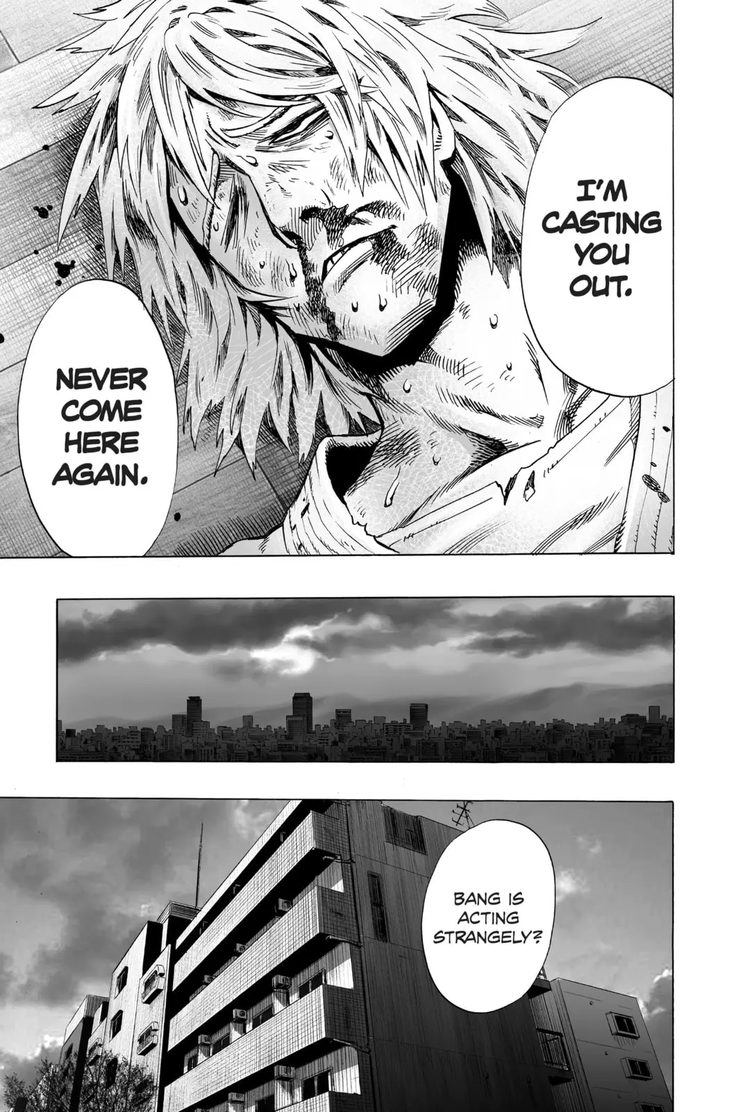 One Punch Man, chapter 46, page 3