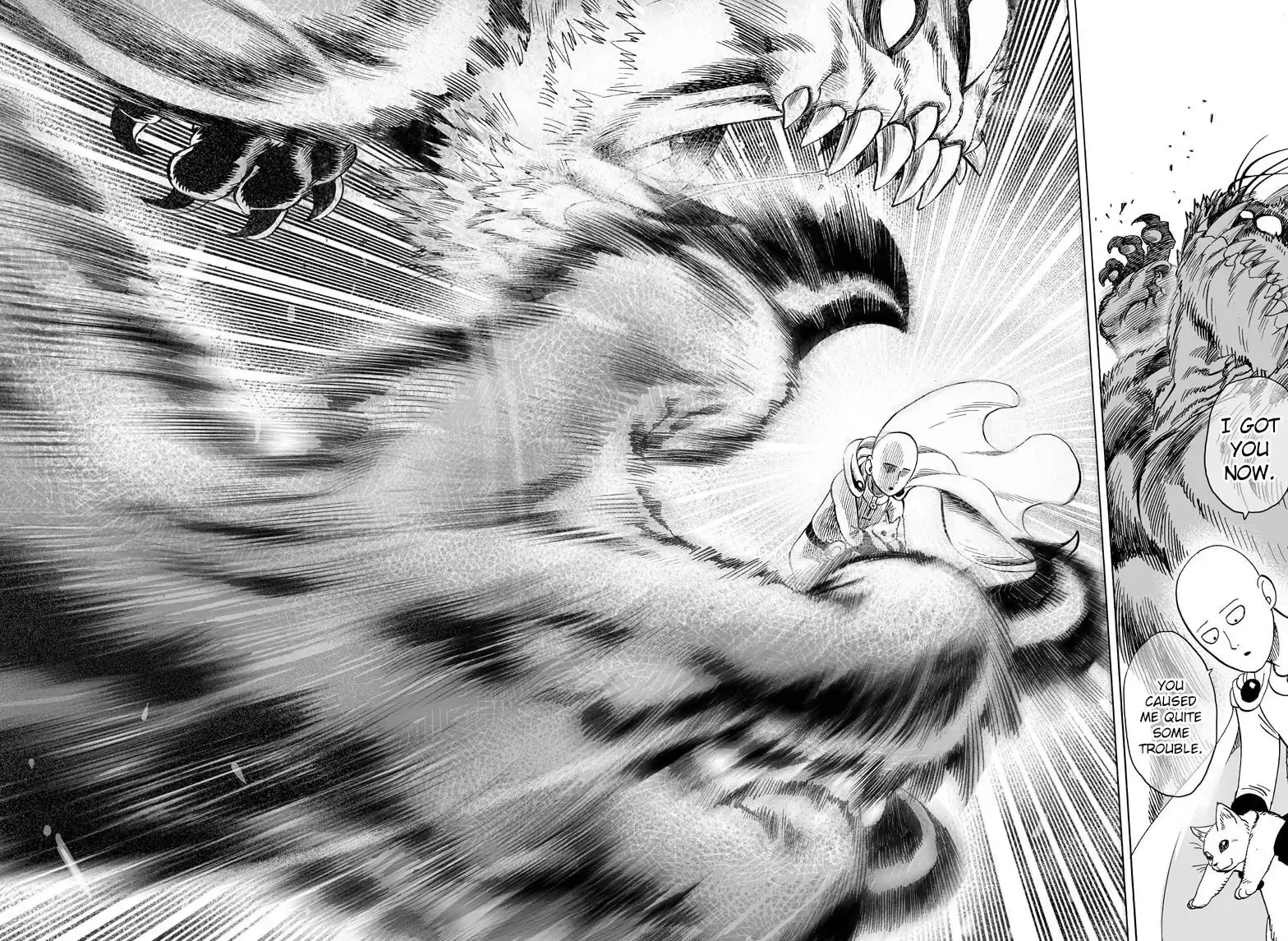 One Punch Man, chapter 39.5, page 28