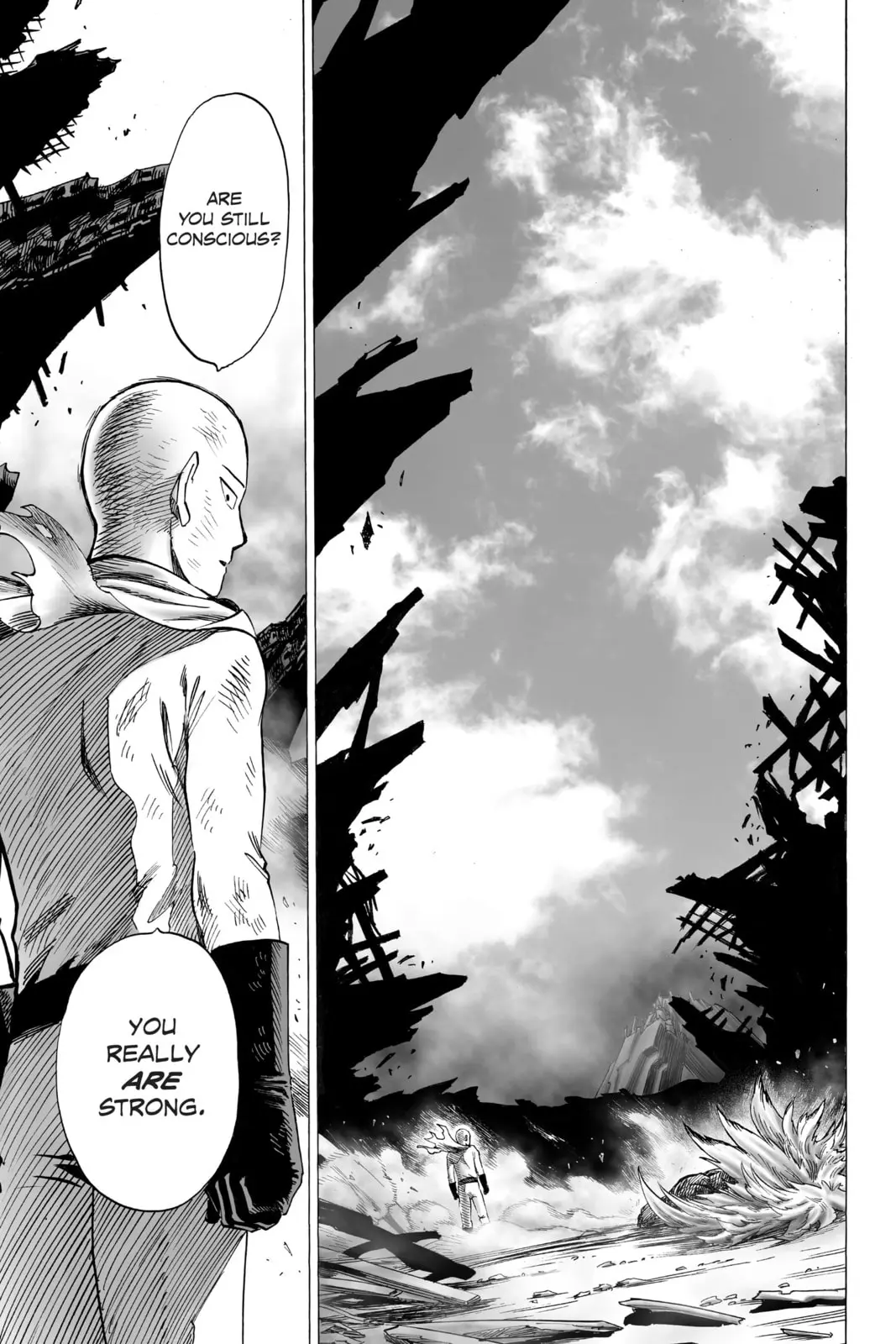 One Punch Man, chapter 36, page 48