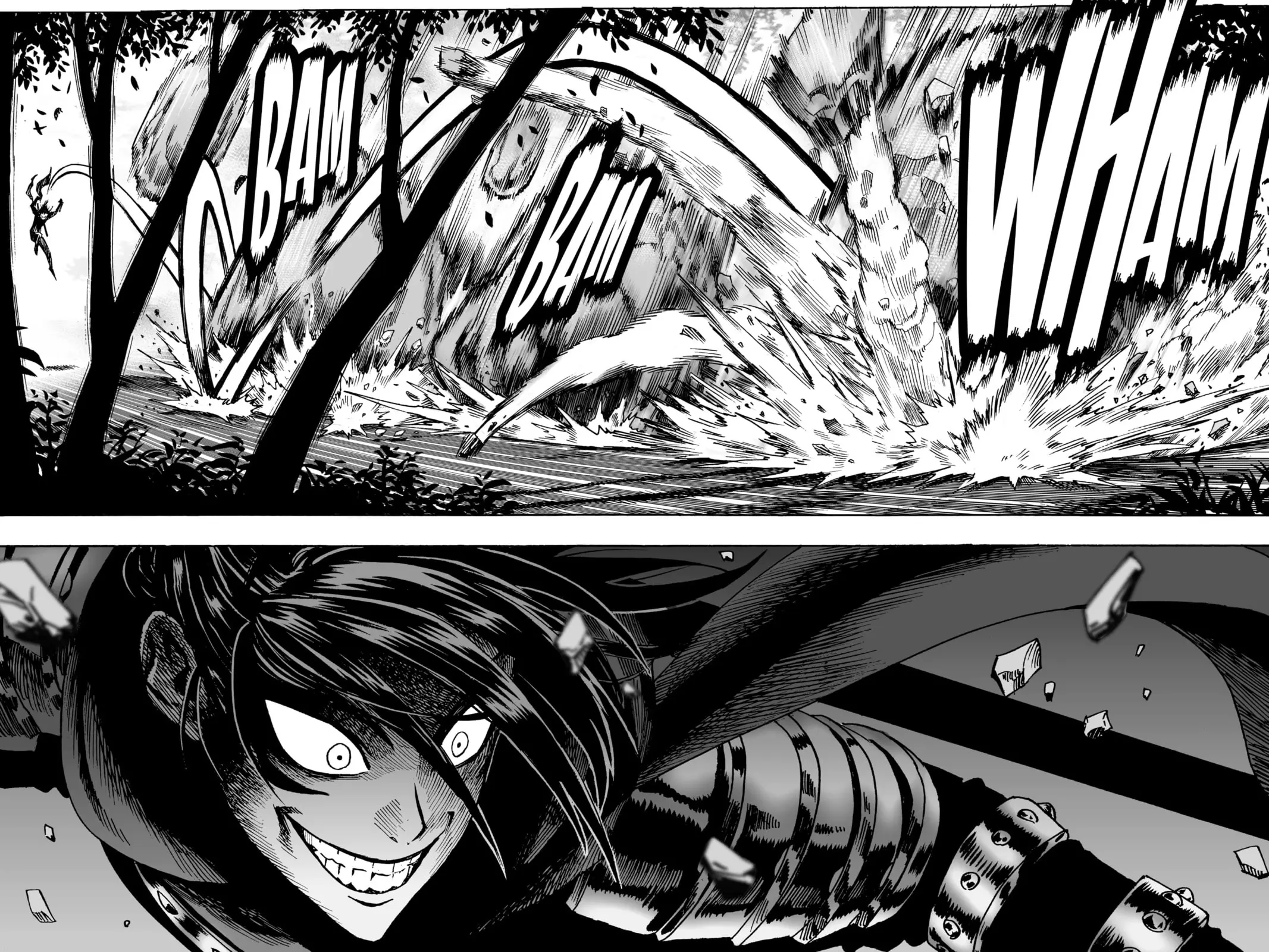 One Punch Man, chapter 13, page 14