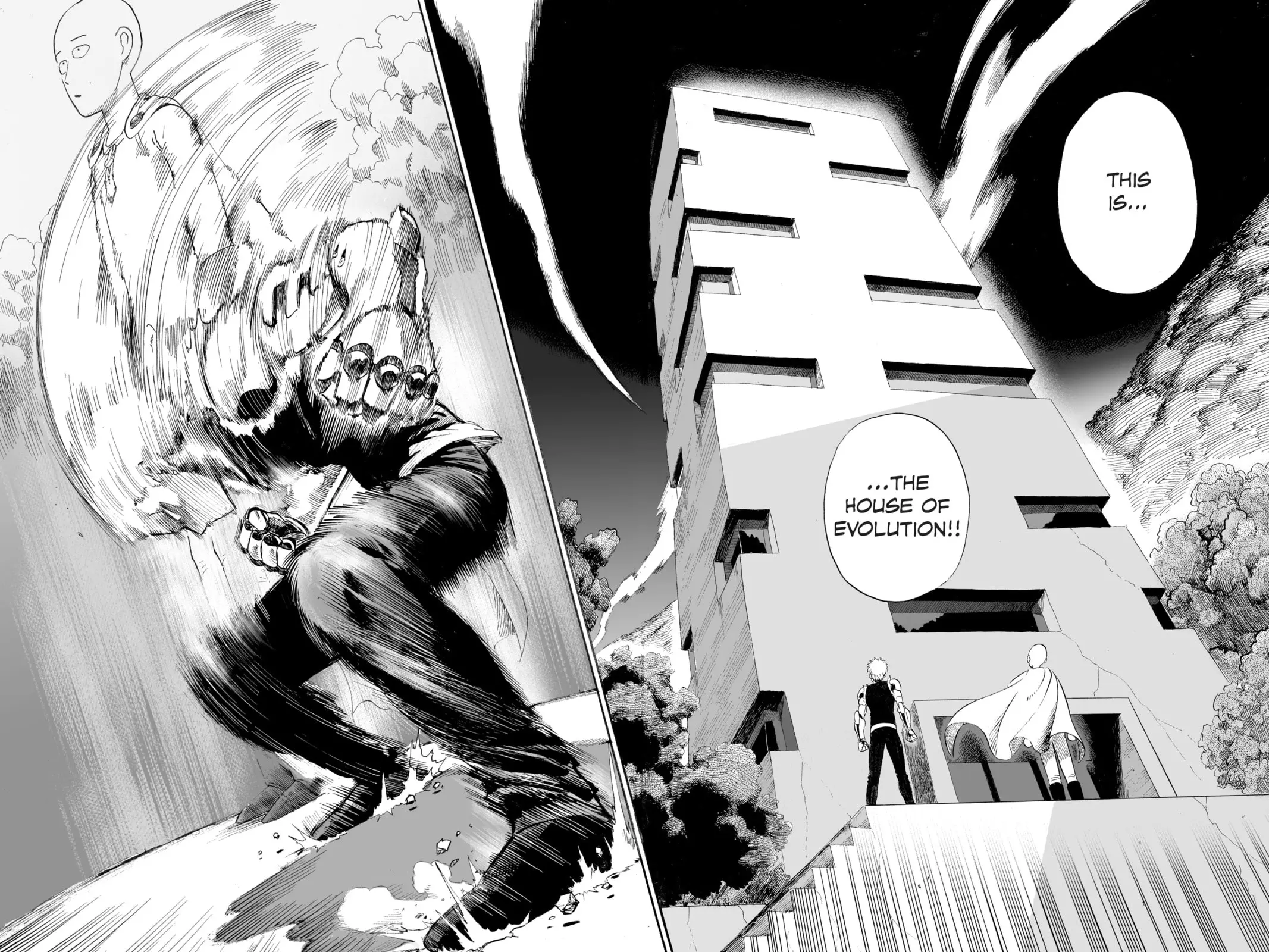 One Punch Man, chapter 9, page 14
