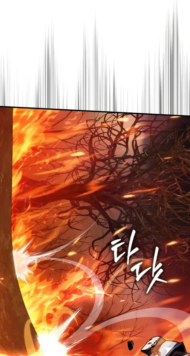 A Genius Wizard Who Breaks Boundaries, chapter 37, page 62