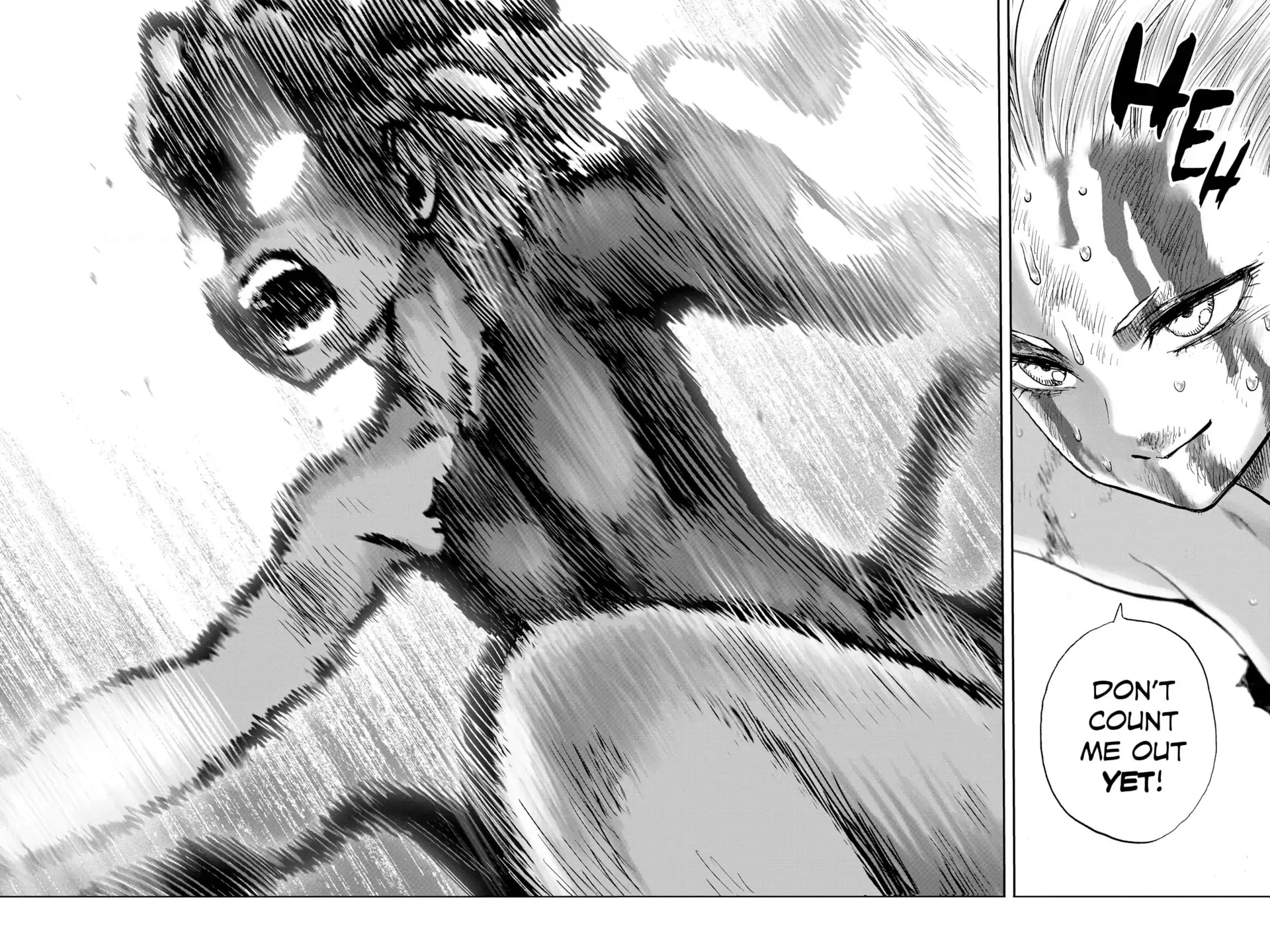 One Punch Man, chapter 142, page 43