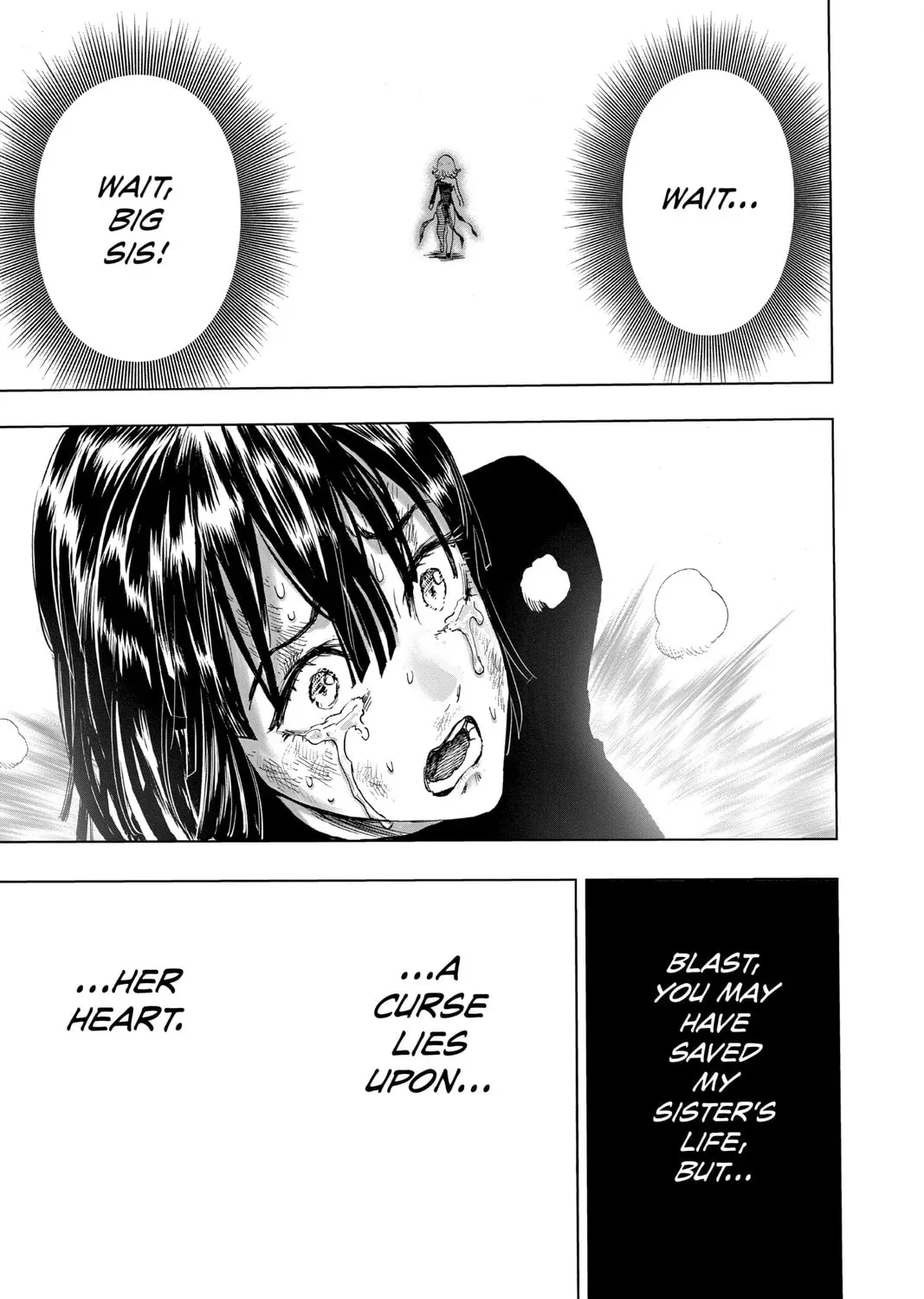 One Punch Man, chapter 148, page 33