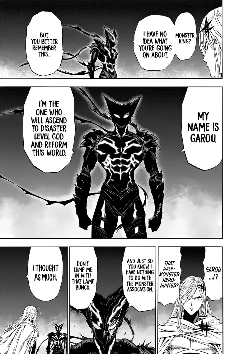 One Punch Man, chapter 154.5, page 13
