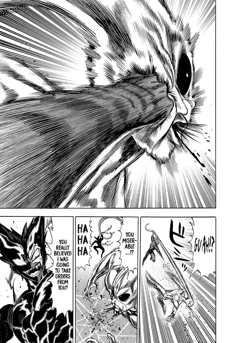 One Punch Man, chapter 154.5, page 34