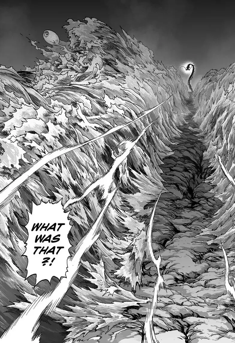 One Punch Man, chapter 155, page 19