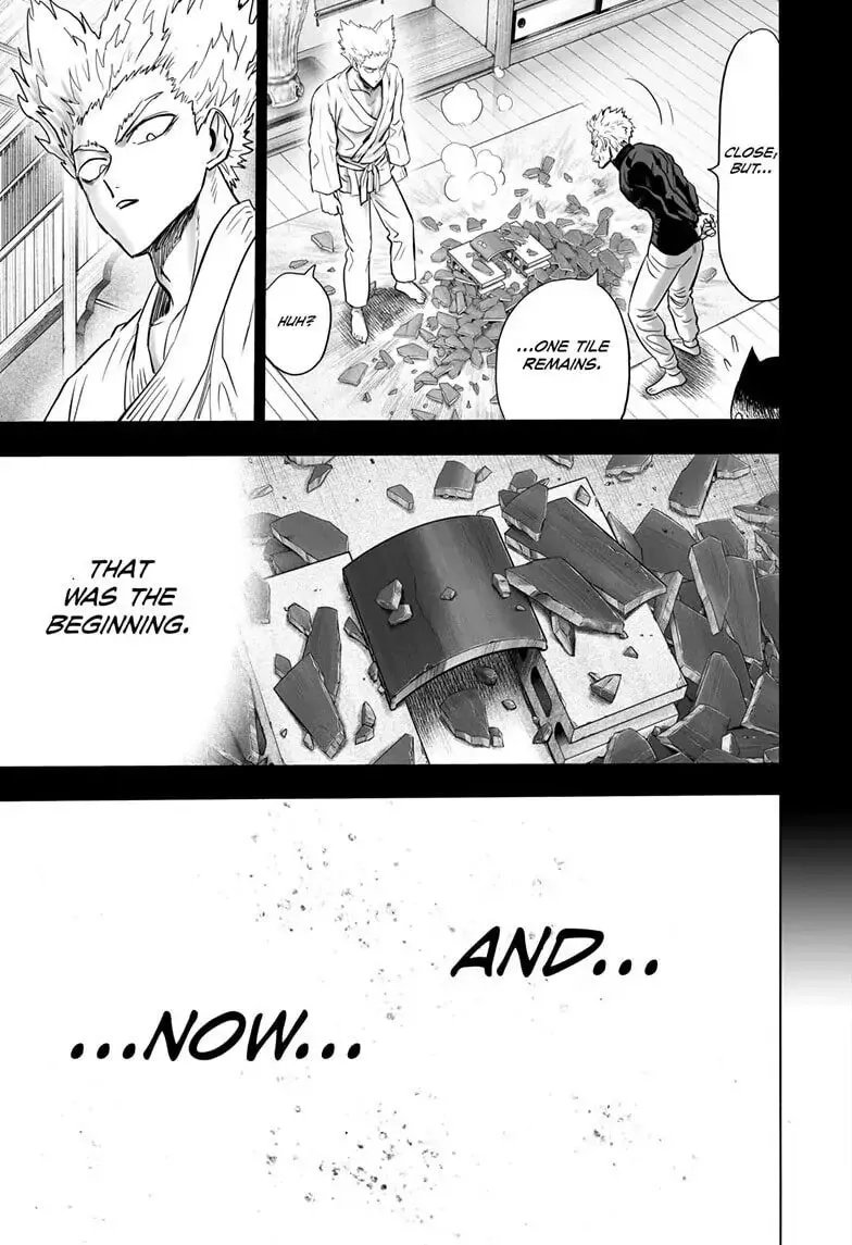 One Punch Man, chapter 157, page 15