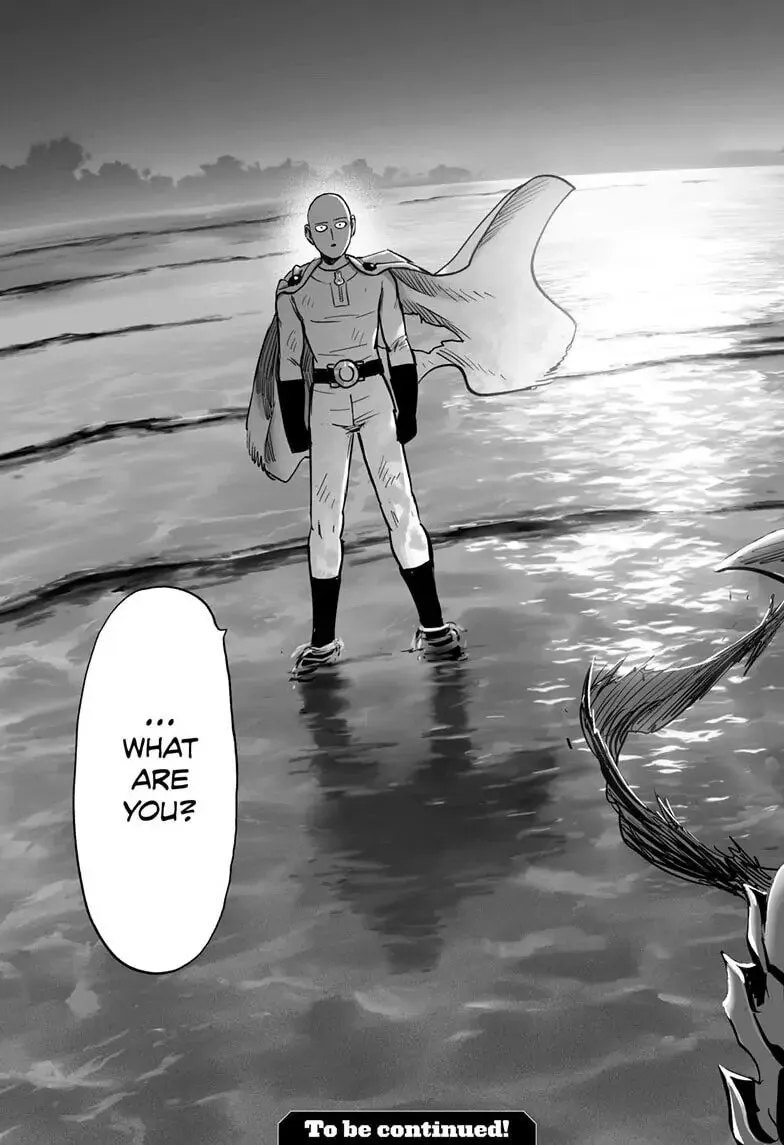 One Punch Man, chapter 158, page 28