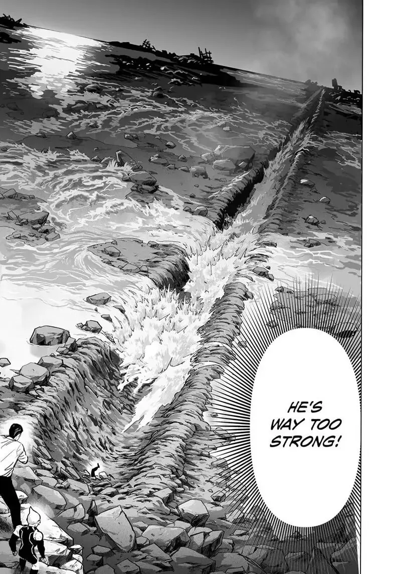 One Punch Man, chapter 160, page 19