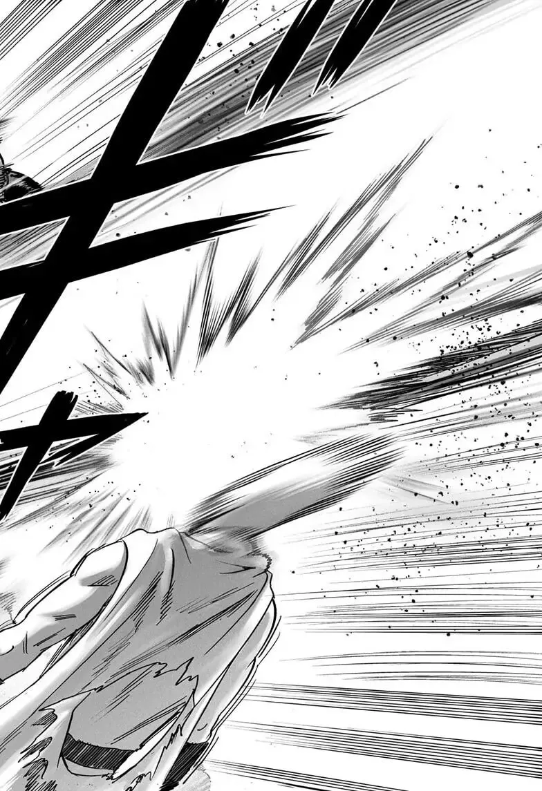 One Punch Man, chapter 160, page 36