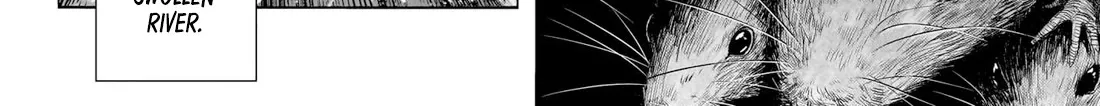 My Hero Academia, chapter 407, page 4