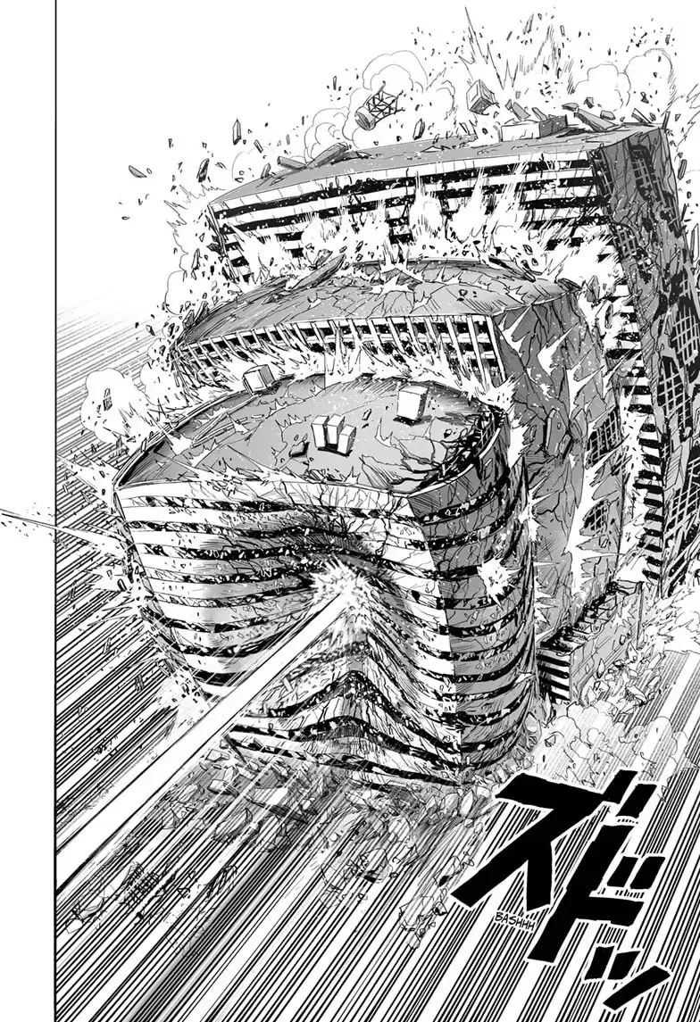 One Punch Man, chapter 161, page 19