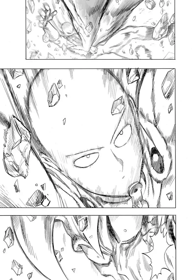 One Punch Man, chapter 162, page 17