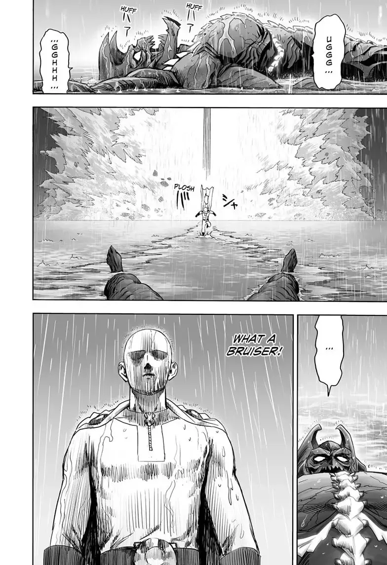 One Punch Man, chapter 162, page 24