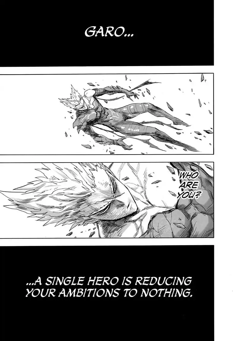 One Punch Man, chapter 162, page 36