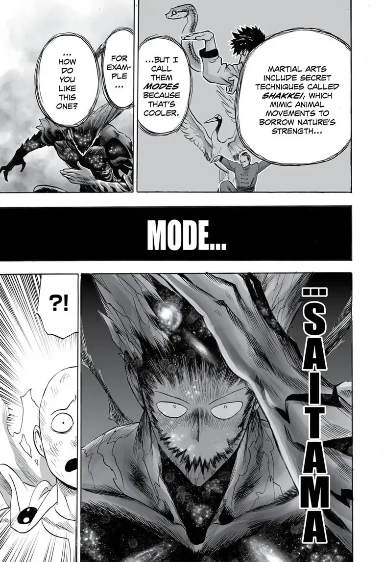 One Punch Man, chapter 163, page 14