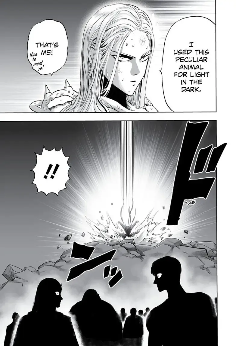 One Punch Man, chapter 163, page 28