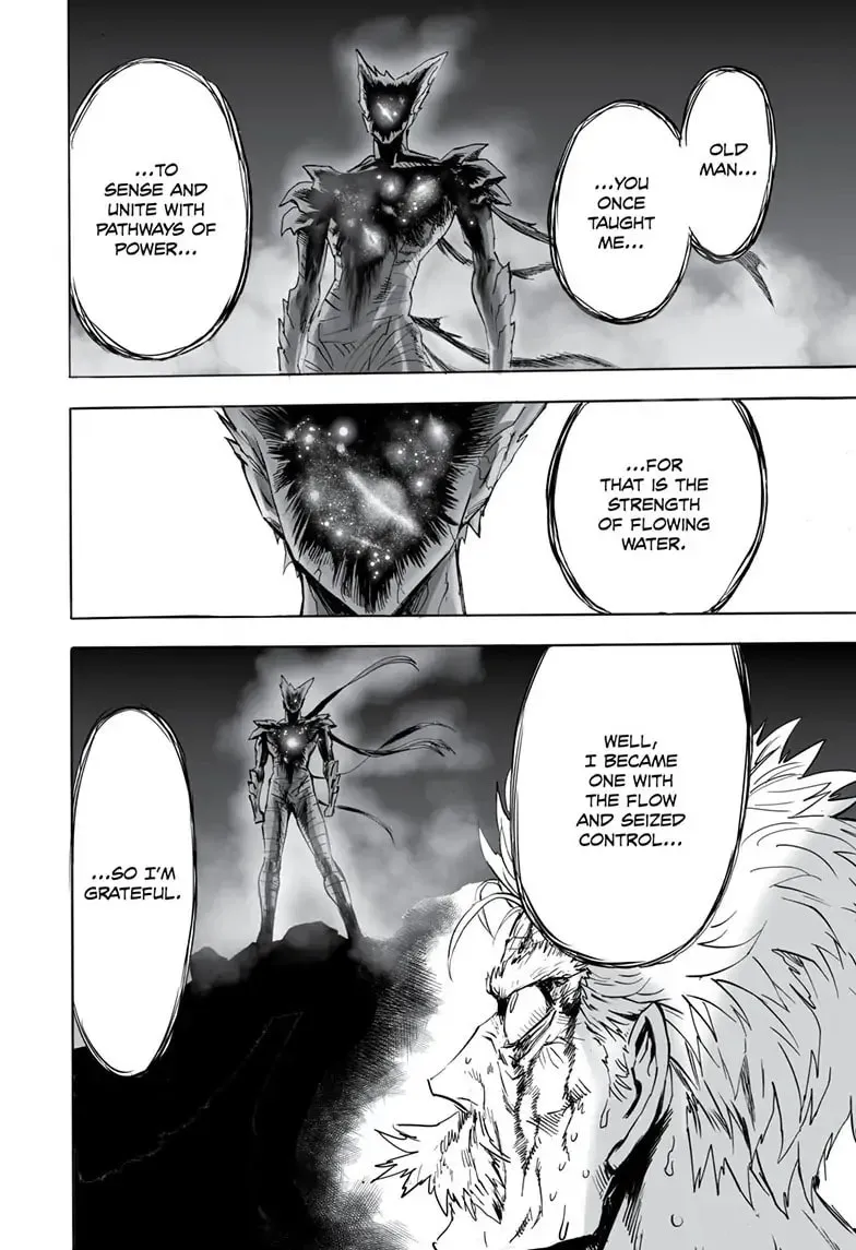 One Punch Man, chapter 163, page 39