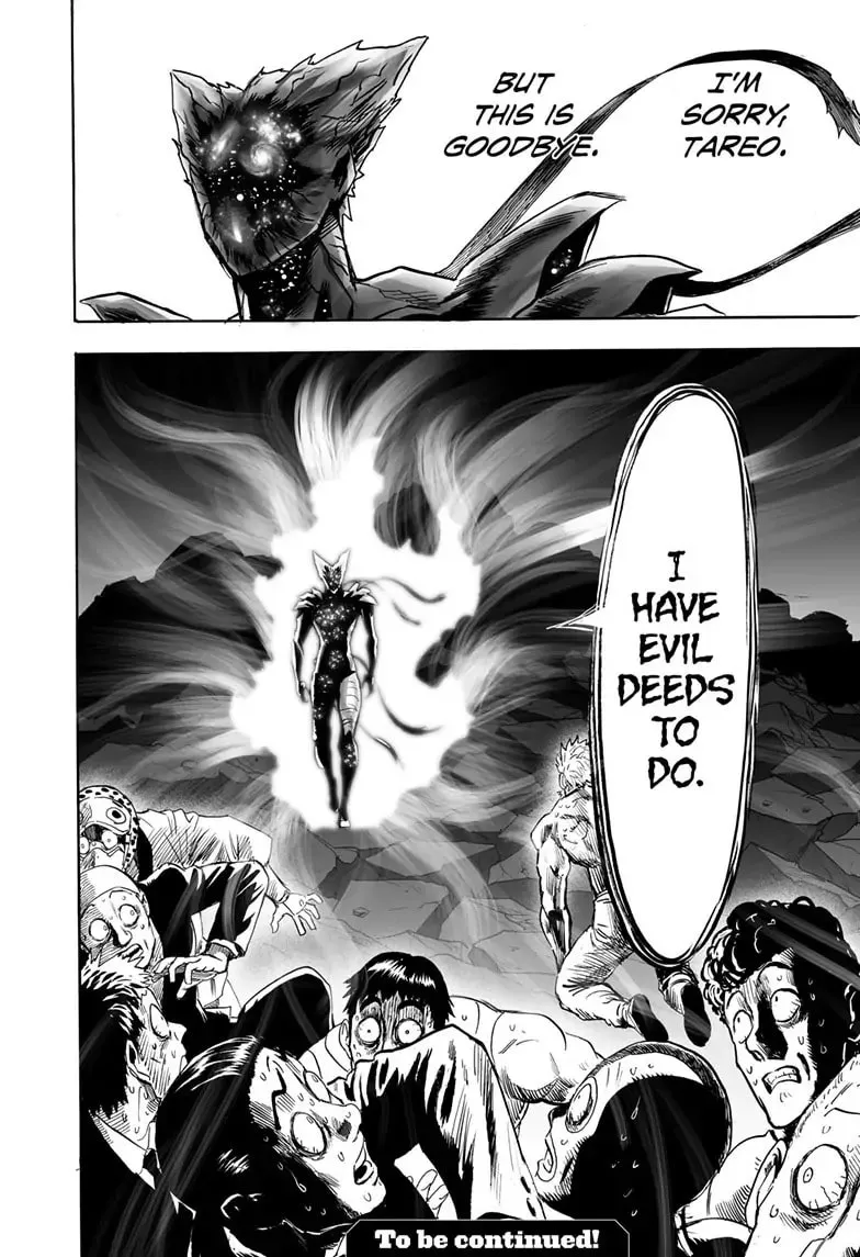 One Punch Man, chapter 163, page 41