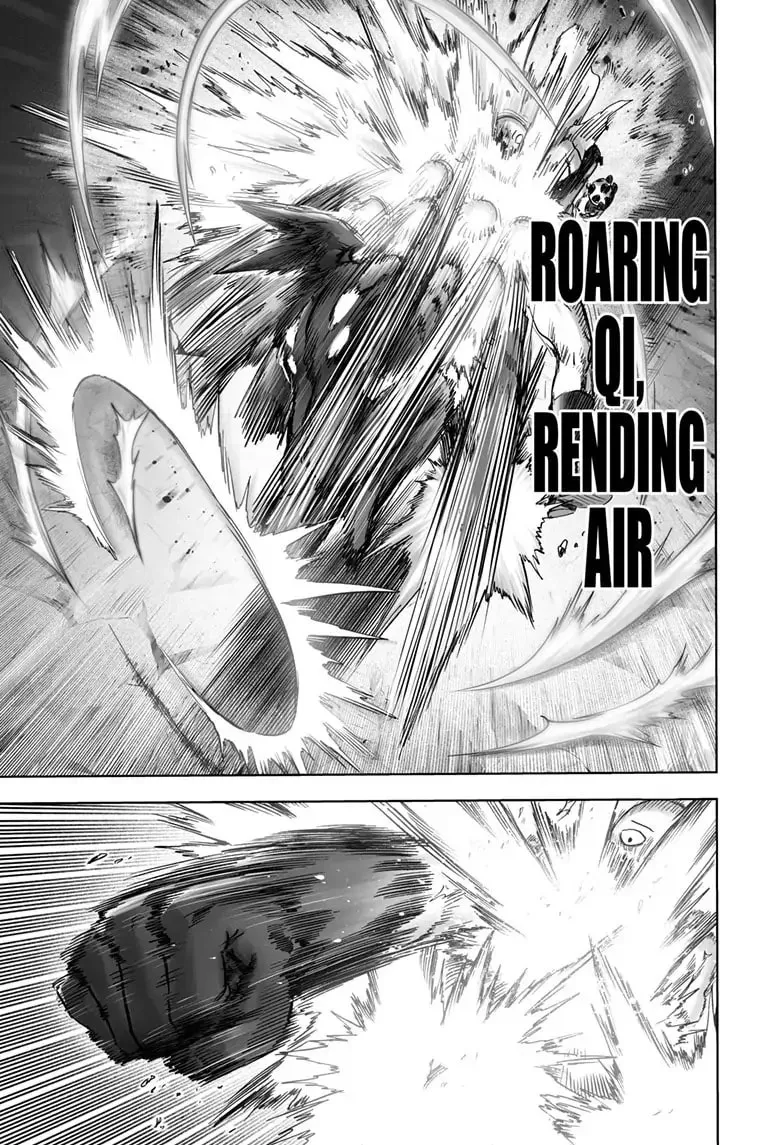 One Punch Man, chapter 165, page 27