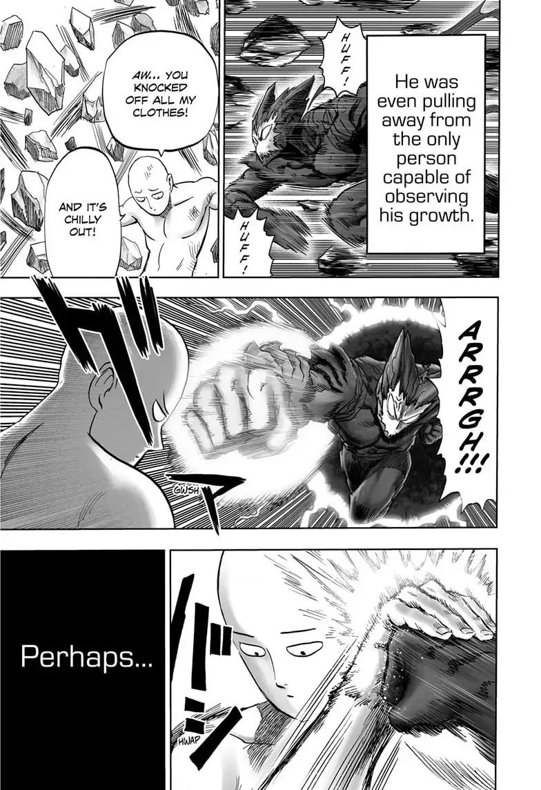 One Punch Man, chapter 166, page 17