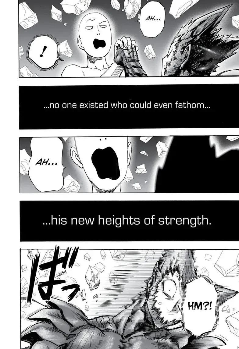 One Punch Man, chapter 166, page 18