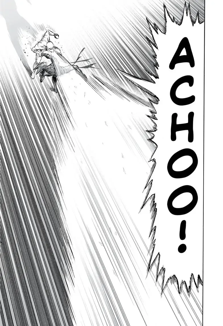 One Punch Man, chapter 166, page 19