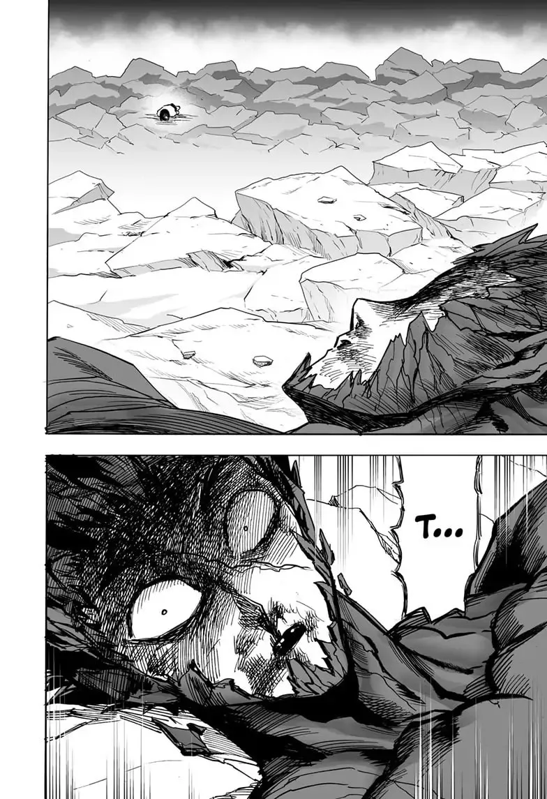 One Punch Man, chapter 166, page 37