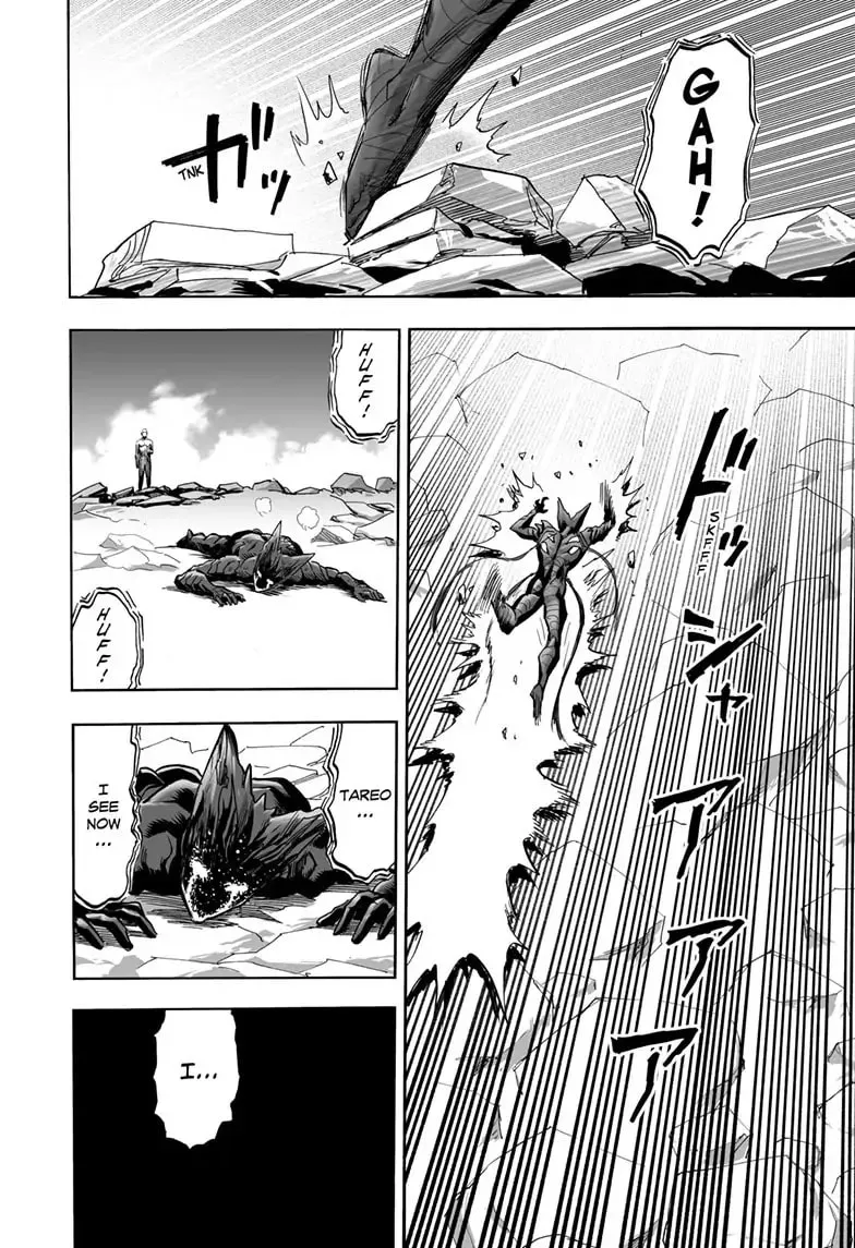 One Punch Man, chapter 166, page 41