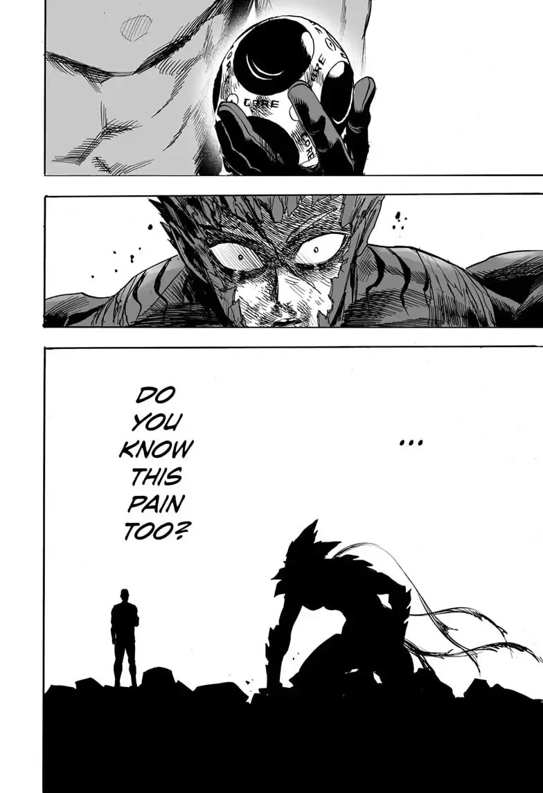 One Punch Man, chapter 166, page 45