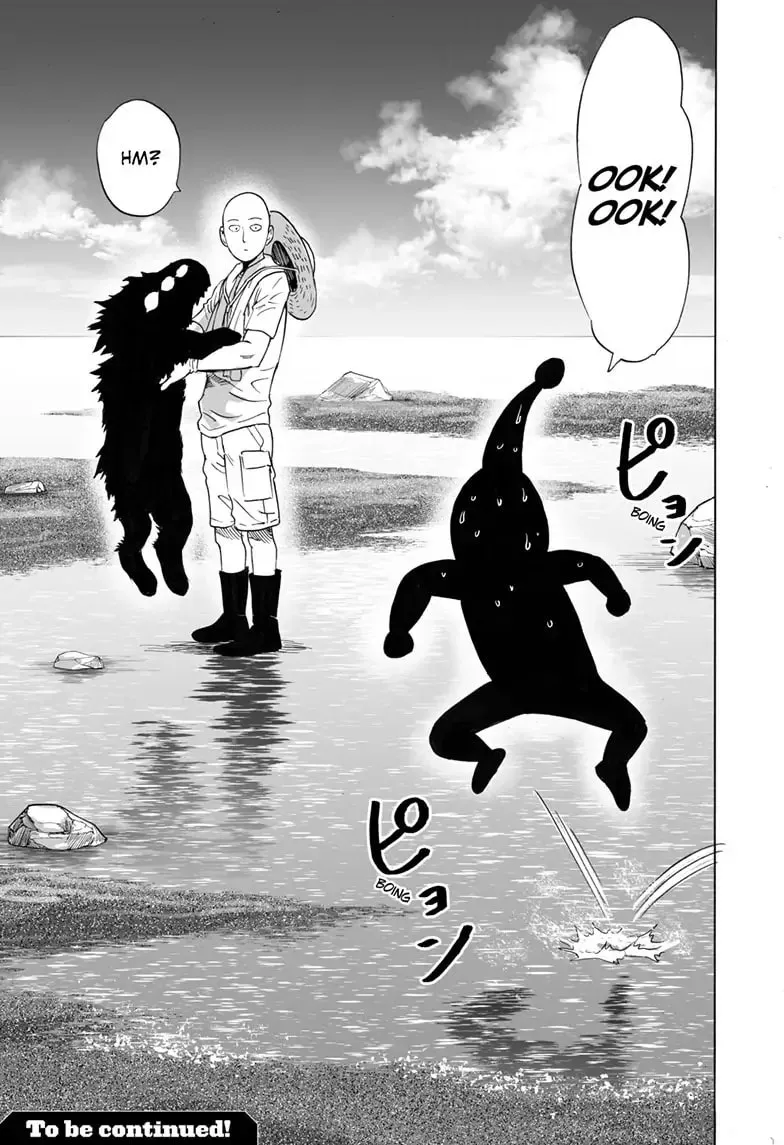 One Punch Man, chapter 169, page 30